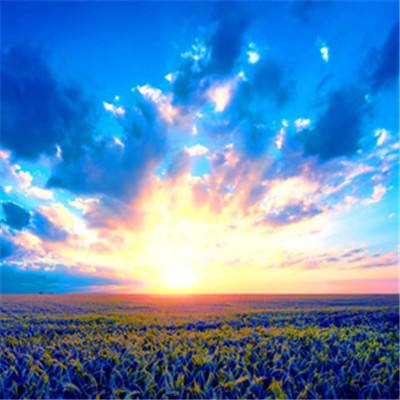 js333金沙线路检测登录入口