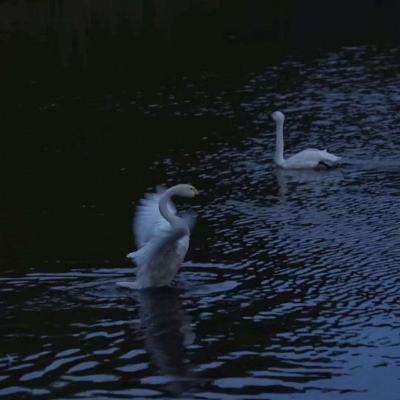 天博体育官网入口app下载