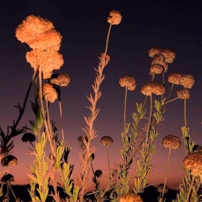 爱游戏全站app下载截图